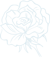 Service Decorative Shape 1