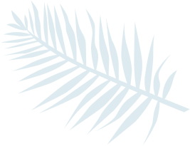 Service Decorative Shape 2