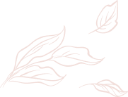 Testimonial Decorative Shape