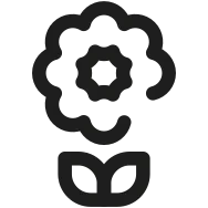 Best of Me Coaching Program